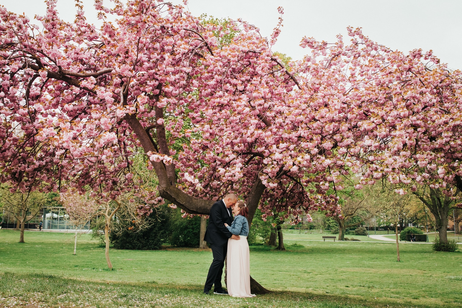 Brautpaar steht Kopf and Kopf unter einem blühenden Kirschbaum im Herrngarten Darmstadt