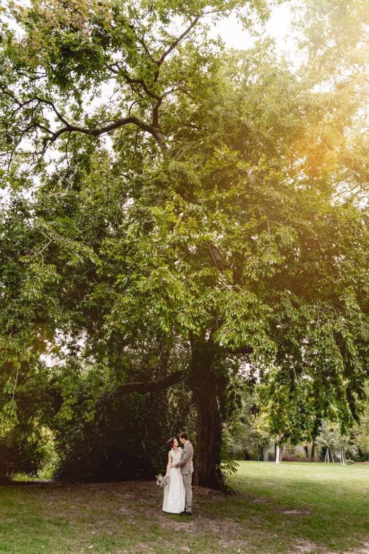 Brautpaar steht unter einem Baum mit Sonnenschein im Park des Prinz-Emil-Schlösschen in Darmstadt
