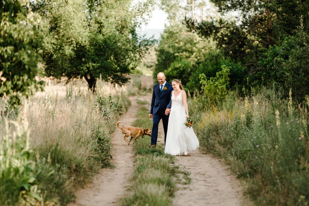Brautpaar beim Fotoshooting mit rennendem Hund im Grünen.